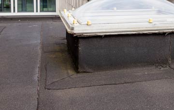disadvantages of North Waterhayne flat roofs