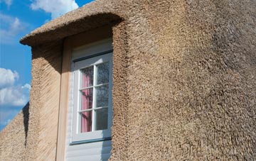 North Waterhayne thatch roof disadvantages