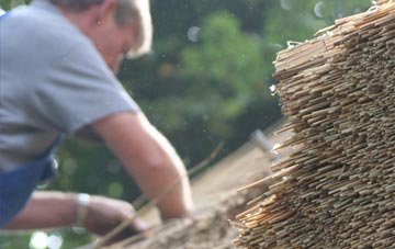 professional North Waterhayne thatchers